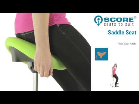 Score Amazone zadelkruk | Snelleverprogramma